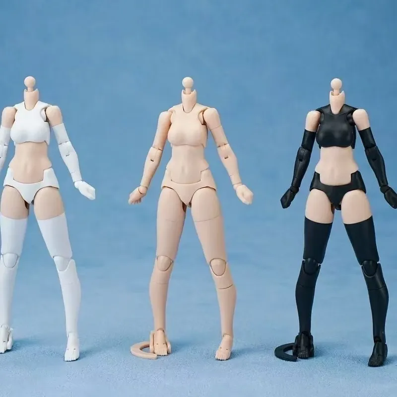 Dhouse 1/12 ガンダムガールベーシックボディアクシ - Model Kit Mecha Girl のレビューと価格